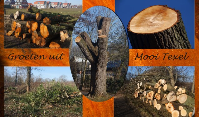Deze satire van Sytske Dijksen sluit wel mooi aan op het stuk. Voor de betweters, zij weet dat het VAN Texel is... Onderdeel van de ansichtkaartgrap.