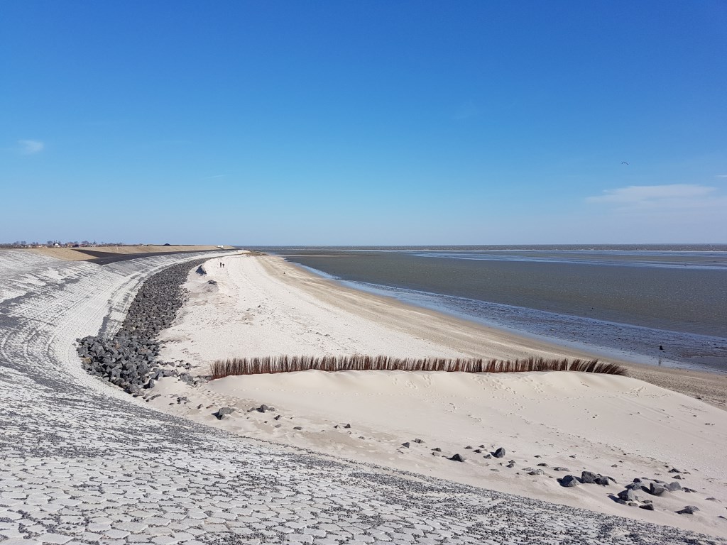 Een rietscherm dat recent op Ceres werd geplaatst. Volgens het hoogheemraadschap heeft aannemer Ooms ze geplaatst in verband met de harde wind van de afgelopen dagen. “Er stonden altijd al schermen, nu zijn er nieuwe geplaatst, dit doen ze altijd als er oostenwind wordt voorspeld. Want anders waait er zand over de dijk/op de dijk. Niets in relatie tot het project Prins Hendrikzanddijk dus.”