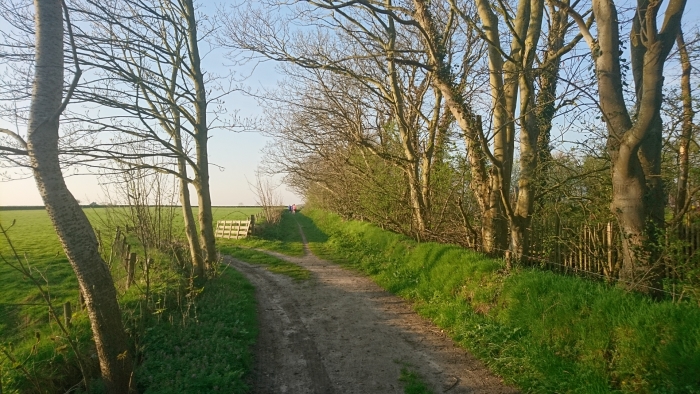 prachtige vergezichten op de Hoge Berg