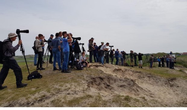 Vogelliefhebbers tijdens het Wadden Vogelfestival.