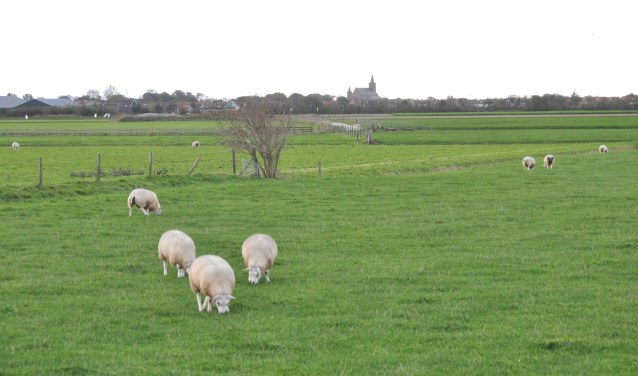 Texels landschap.