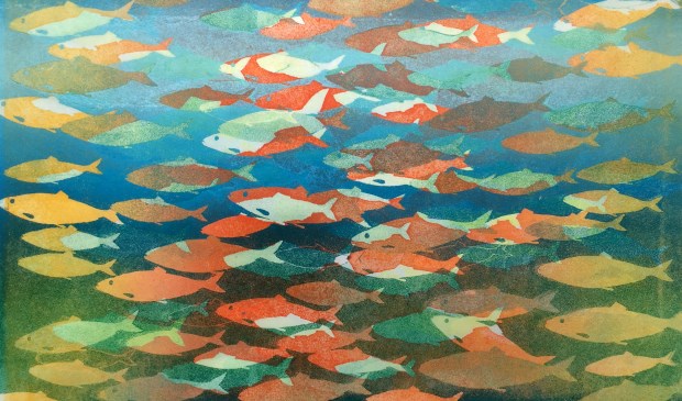 Maurice Christo van Meijel: Blauwe haringzee (2018) monoprint in etalge Boekhandel Nauta