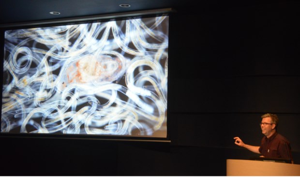 Fotograaf Wim van Egmond fotografeert microben en toont deze op een groot scherm.