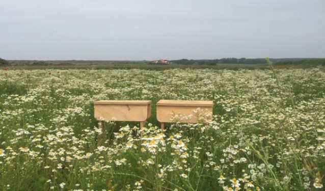 Bij "Skemere" op het voetbalveld van ZDH staan er ook skemerbankjes, zoals deze in De Westen.