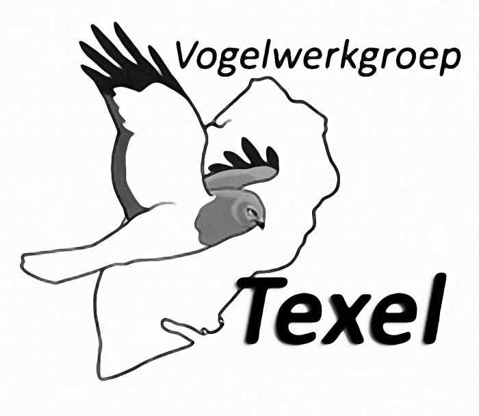 logo VWG Tx