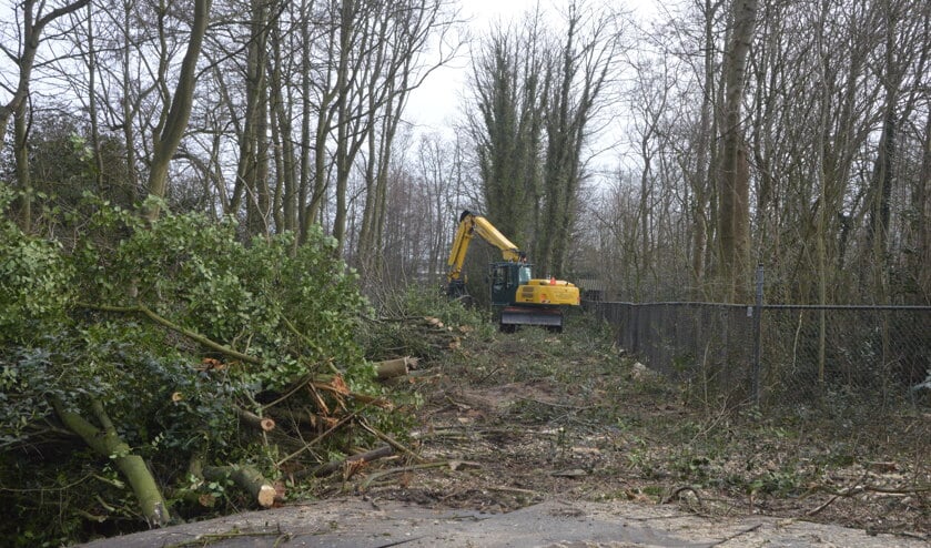Ook de bomenkap komt ter sprake in de komende editie van TipTexel.nl.