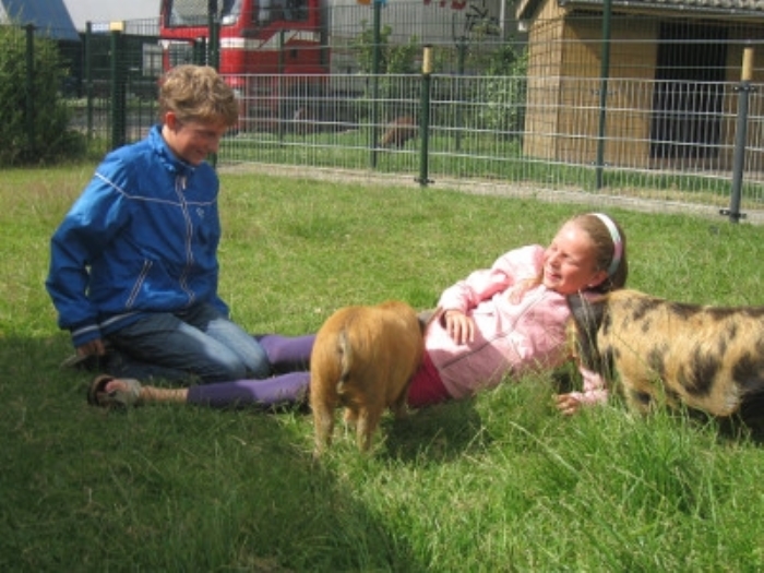 Kinderboerderij Texel