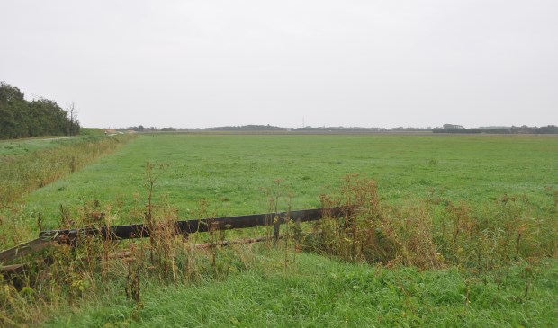 De grond langs de Nieuwlanderweg en het Waalenburgerdijkje.