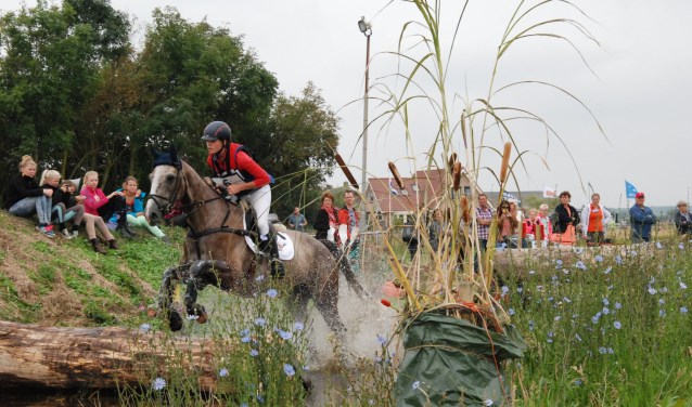 Spektakel in de waterbak