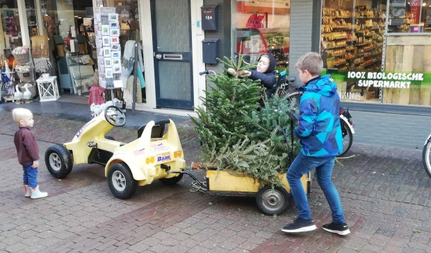 Deze week waren diverse kinderen al druk bezig met het inzamelen van kerstbomen.