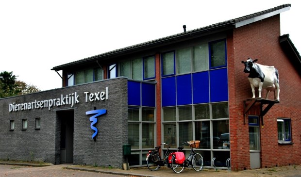 Zaterdag 23 februari Open Dag bij Dierenartsenpraktijk Texel