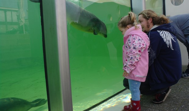vader en dochtertje kijken naar zeehond in R-bassin