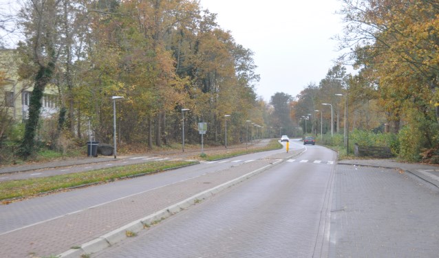 De Emmalaan ter hoogte van de OSG afgelopen november.