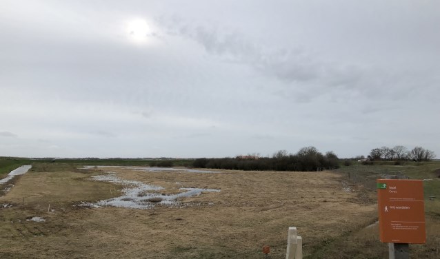 Polder Ceres waar de watercrassula is aangetroffen.