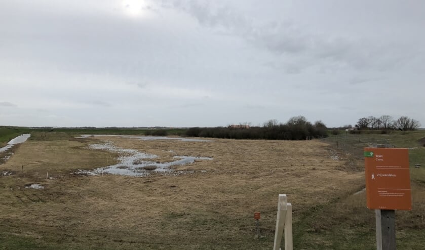 Polder Ceres waar de watercrassula is aangetroffen.