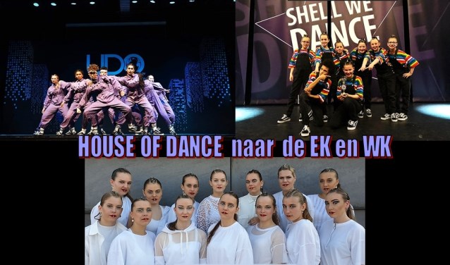 De teams van House of Dance.