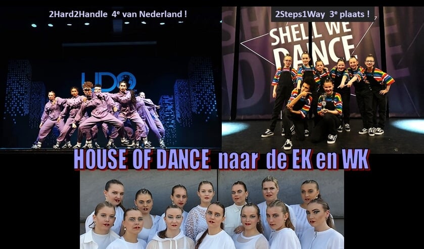 De teams van House of Dance.