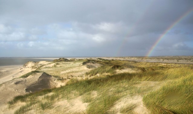 De Horsduinen.
