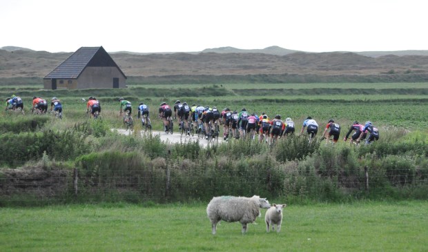 Het peloton over het Lagewegje bij Den Hoorn.