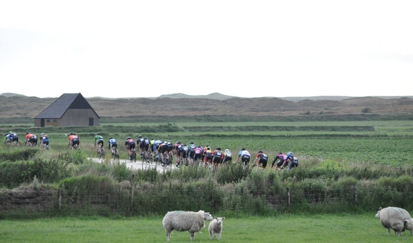 Het peloton over het Lagewegje bij Den Hoorn.