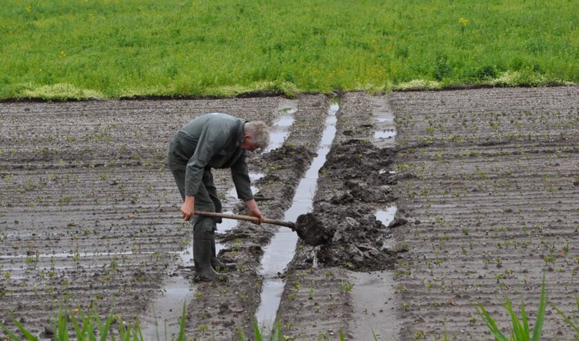 Akkerbouwer Jan Lap spit een greppel om het overtollige water af te voeren.