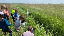 Zaterdag 14 juni is het Slootjesdag