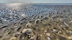 IVN kinderlezing: Help de Waddenzee stijgt!