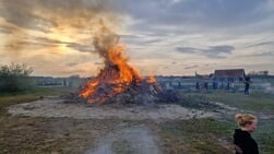 Foto’s meierblis