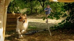 Jeugdsentiment: Lassie is terug in bioscoop