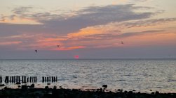 Waddenzee centraal in TV-programma Andere Tijden
