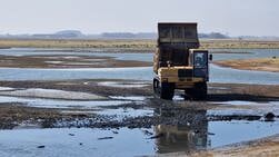 “Bescherming en recreatie hand in hand”: schelpeneilandjes voor vogels
