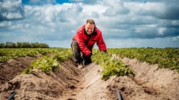 Tevredenheid over innovatief watersysteem: “Voedt meteen de wortels”