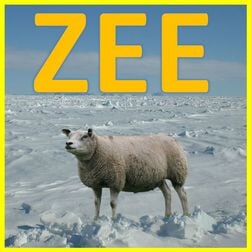 Podcast ZEE #6 - Zee ijs