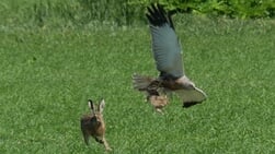 Lezersfoto - Natuur