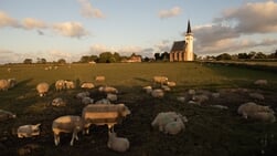 De Lezersfoto - Kerkje van Den Hoorn