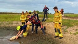 Texelse jeugdbrandweer in actie voor vastzittend lam