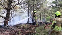 Massale uitruk hulpdiensten om natuurbrand De Koog
