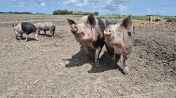 De Lezersfoto: welbehagen