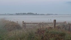 De Lezersfoto: nevelen