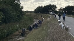 “Jakobskruiskruid, waardevolle pionier met twee gezichten”