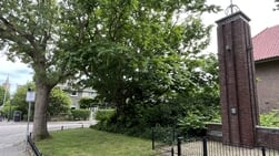 Noodkap vleugelnoot bij Esperanto-monument