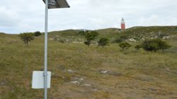 Drukte meten: Staatsbosbeheer breidt het aantal telpalen uit