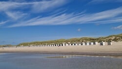 Lezersfoto - Zomerse taferelen