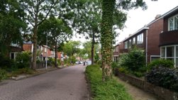 Bewoners Wilhelminalaan bezorgd over behoud bomen