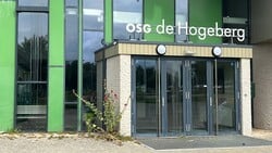 Eieren tegen woonhuizen en gebouwen op Texel