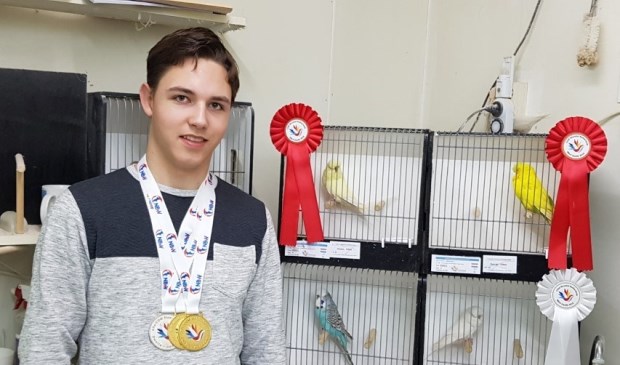 De 15-jarige Hielke Deelstra uit Gytsjerk werd twee keer wereldkampioen met zijn Standaard Grasparkieten.