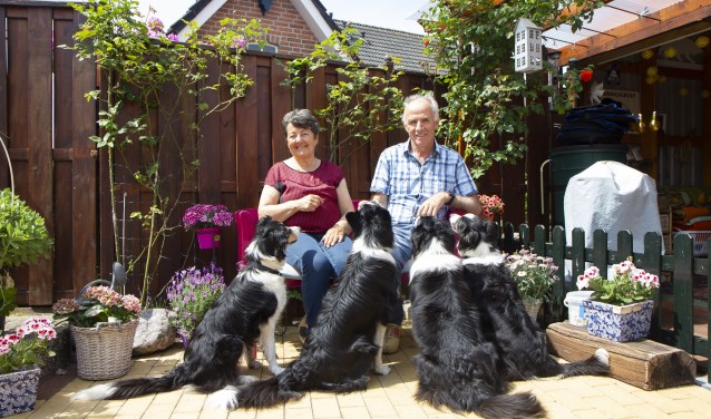 Ook de border collies van Marijke van der Bij-Kuipers en Fokke van der Bij drinken van het ontharde water. Bekijk het filmpje met de ActiefPlus-app voor een toelichting.