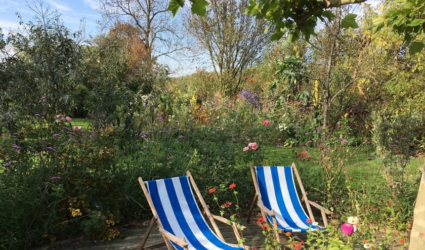 Zitjes in de tuin van Janna Rusticus, een deelnemer aan de open tuin.