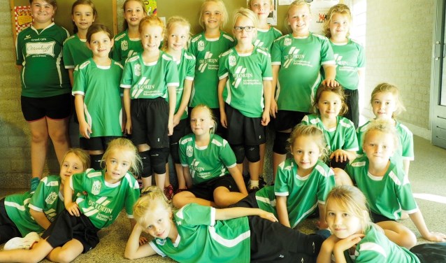 Deelnemende jeugdteams van handbalvereniging Groesbeeks Glorie. (foto: Susan Mulders)