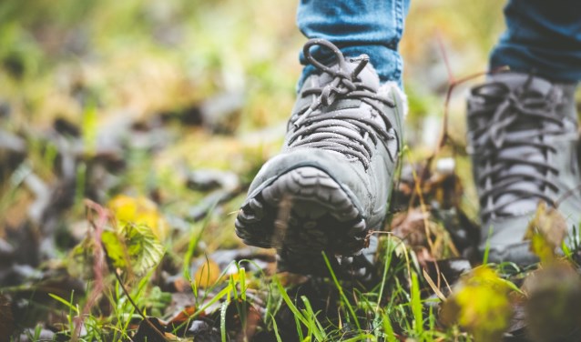 Lange dagwandeling-wandelschoenen. (foto: Geldersch Landschap & Kasteelen)